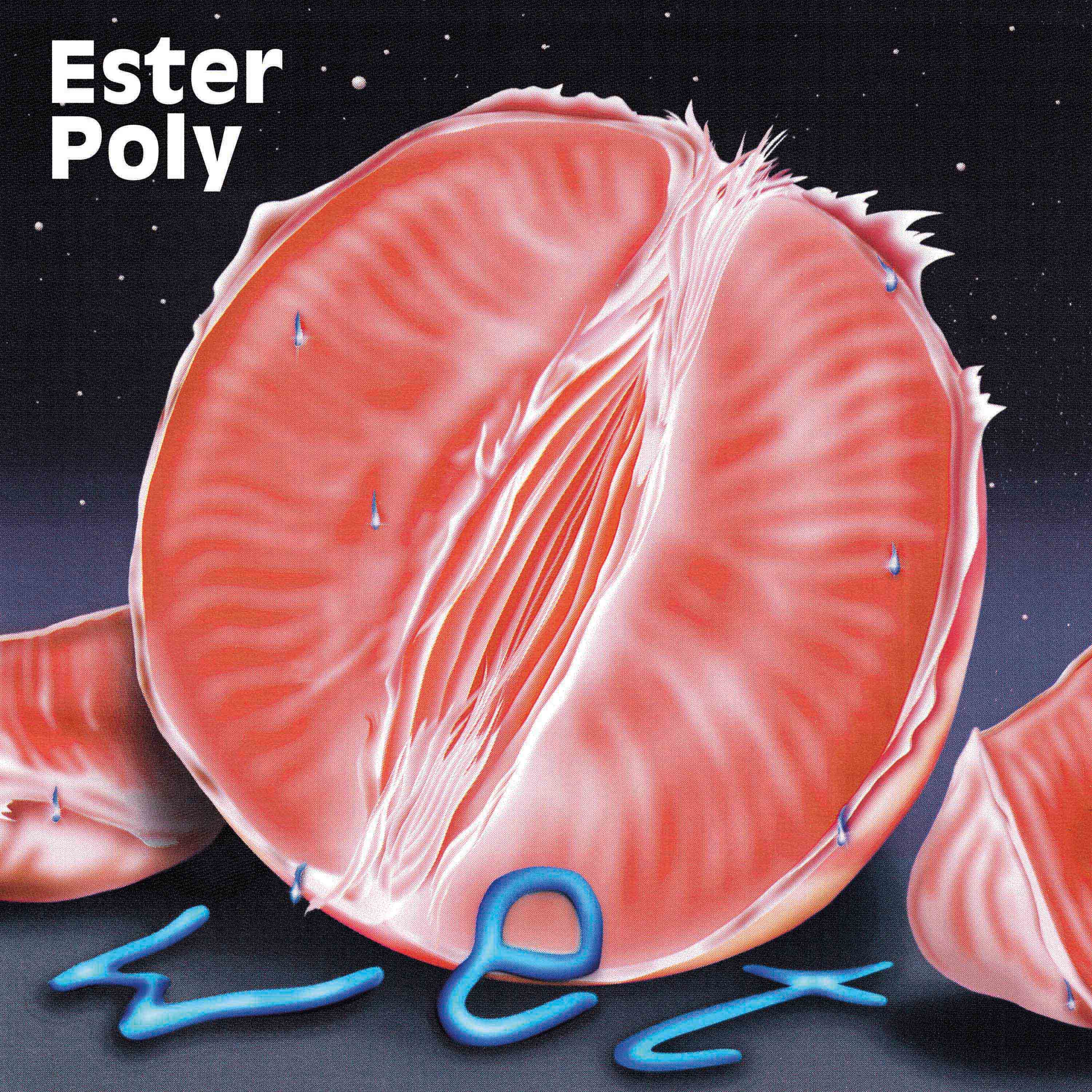 01_EsterPoly_Front_Cover_RGB.jpg